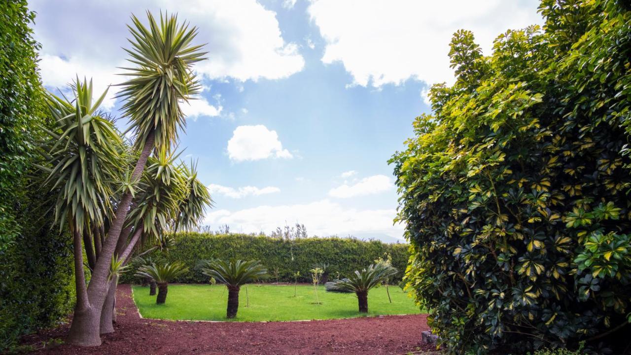 Quinta Do Torcaz Apartment Horta  Bagian luar foto